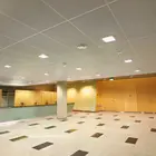 Nature style restaurant perforated garage plywood wall ceiling panel