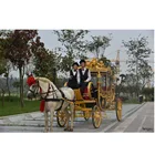 Horse Unique Design Royal Luxury Horse Carriage Promotion