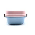 Microwave safe airtight cute portable lunch box 2 compartment container plastic food storage container for kids