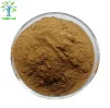 /product-detail/hot-sale-eucalyptus-leaf-extract-powder-eucalyptus-extract-62347332232.html
