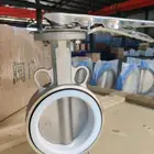 Safety Automatic Air Control Grooved Floating Angle Gate Check Ball Butterfly Line Blind Bronze Pinch Valve