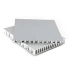 Panel Honeycomb Aluminum Core Composite Sandwich Aluminum Panel