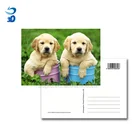 Card Card 3d Lenticular Card Lenticular Card Printing Factory Custom 3d Lenticular Post Card