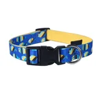 Pet Supplies Custom Polyester Heat Transfer Printing Dog Collar Sublimation Pet Collar and Leash Harness Set