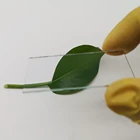Anti-reflection Glass Ar Optical Coating 98% High Transmission