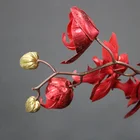 Wedding props decor wedding favors indian wedding dress