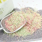 Pet Products Comfortable Pet Beds Tofu Cat Litter Wholesale