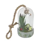 Handmade creative home decoration micro landscape mini frog glass cover resin decoration