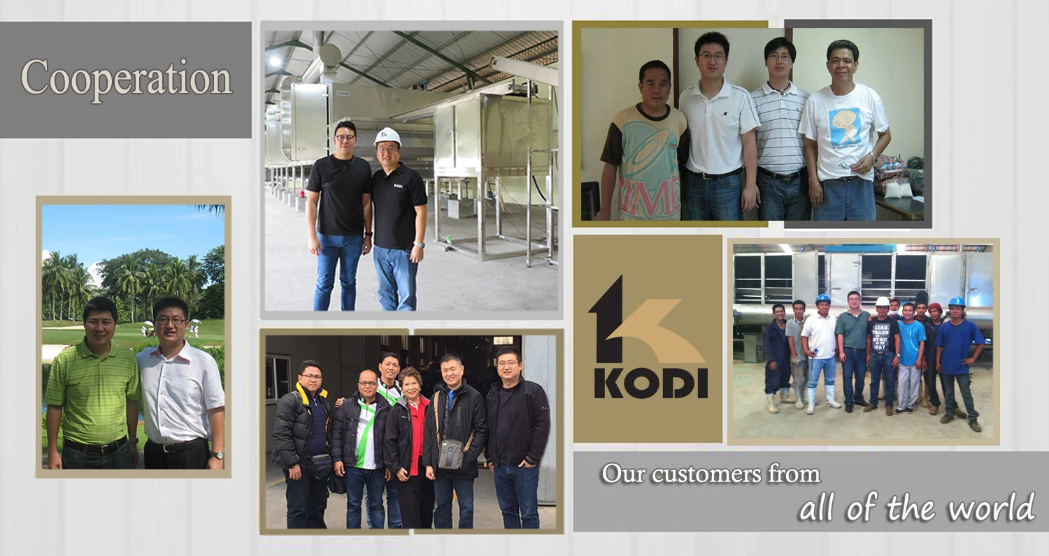 Kodi Continuous Industrial Conveyor Mesh Belt Dryer For Fruit Vegetable