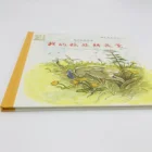 Custom Cheap Cardboard Hardcover Laminated book printing English Children Story Books