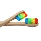 Eco-Friendly Disposable Eco Adult Disposable Travel Toothbrush Labels
