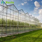 Large Size and Multi-Span Glass Greenhouses for Agriculture Price