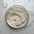 Food Grade Enzyme Product Amylase