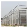/product-detail/multi-span-agricultural-greenhouse-with-polycarbonate-sheet-62237961958.html