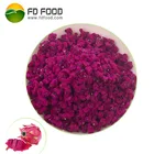Bulk Pitaya Freeze Dry Fruit Powder Freeze Dried Food Freeze Dried Red Dragon Fruit