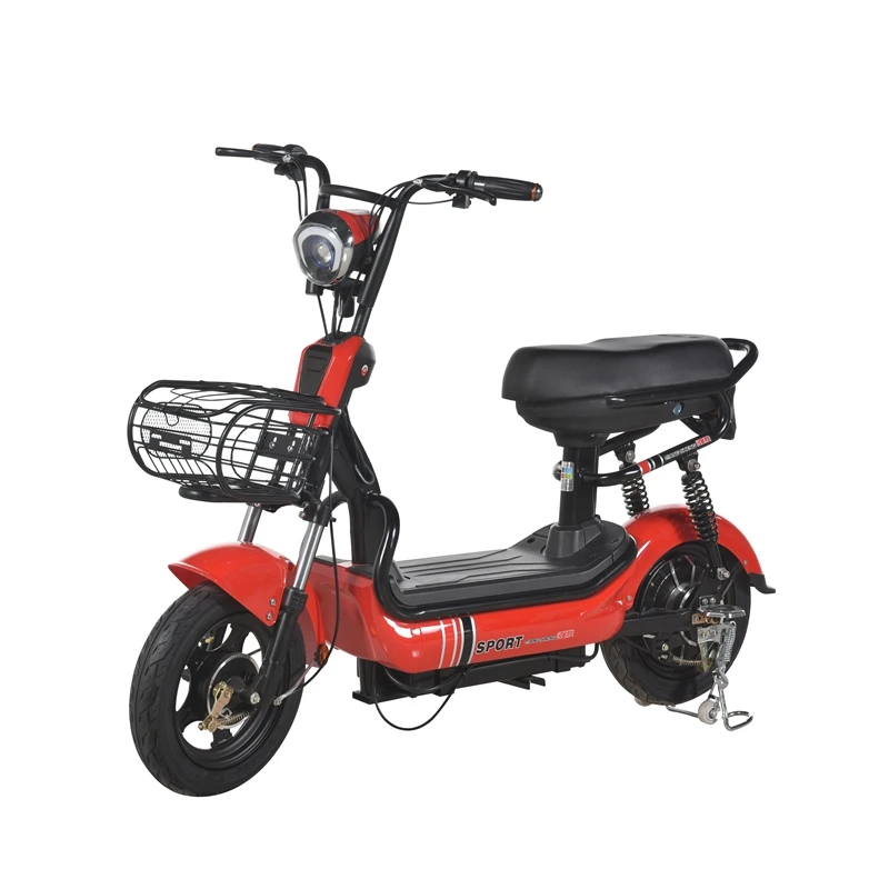 electric bike for heavy adults