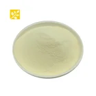 Hot Sale Weight Loss product raw powder Garcinia Cambogia, Cambogia Garcinia