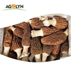Dried Mushrooms Factory Real Organic High Nutrition Black Morel