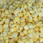 New Crop Super Sweet Frozen Sweet Corn IQF Kernels