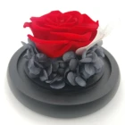 Valentine's Day Souvenir Gift Flower Craft Accessories Preserved Rose in Glass Globe