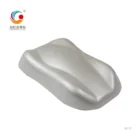 Powder Colour Hotsale Industrial Grade Pearlescent Color Pigment Mica Pearl Powder For Coating