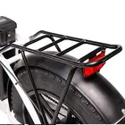 Electric Electric Bike 20 Inch Al-alloy 6061#48v350w Brushless Motor 48v10ah Lithium Battery Woman Electric Bike