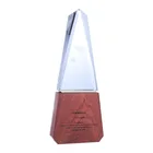 High-end creative customized solid wood base crystal award