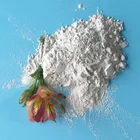 High purity pharmaceutical research Paclitaxel Taxol API powder CAS 33069-62-4