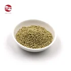 Drink Moringa Drink HOT Sale 2020 Moringa Tea Flat Tummy Ginger Tea Moringa Ginger Drink