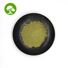 natural fresh moringa powder leaf/ moringa leaves bulk moringa seeds 10:1