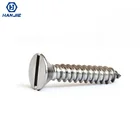 All Sizes Slotted Flat Head Screw Self-Tapping Screw