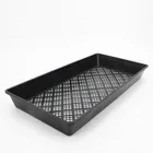 Hengsite Plastic Seed Growing Germination Flat Tray for Sprouting Vegetable