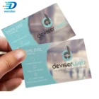Custom Printing Plastic/Paper Business Card with Own Logo