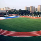 Turf Sport Football Field Synthetic Pet Lawn Green Floor Mat Outdoor Product Artificial Grass
