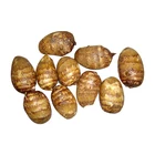 High quality and competitive price vegetables chinese taro