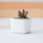 Small Pots HXX2001-2 Most Popular Square Small White Ceramic Flower Pots