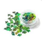Nail Art Beauty Cosmetic Glitter Wholesale For Nail Art Decoration