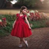 /product-detail/wholesale-kids-princess-sleeveless-wedding-tulle-tutu-girl-party-dress-62344752223.html