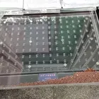 Planter Top Sale Guaranteed Quality Small Hand Seed Planter Seed Trays Planting
