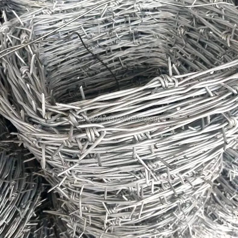 001  barbed wire.jpg