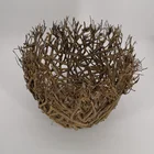 Pot Wood Wood Wooden Pot Natural Tea-branch Garden Flower Plantwood Pot Multi Usage Garden Plant Wood Pot Container