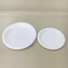 Disposable Plates Biodegradable Disposable Corn Starch Plates