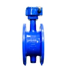 Centerline Iron Cast Iron Stainless Steel Wafer Butterfly Valve Price List from China with ce Certificate