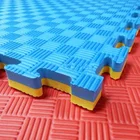 Cheap High Quality Rectangle Eva Taekwondo Mats Tatami Judo Mats