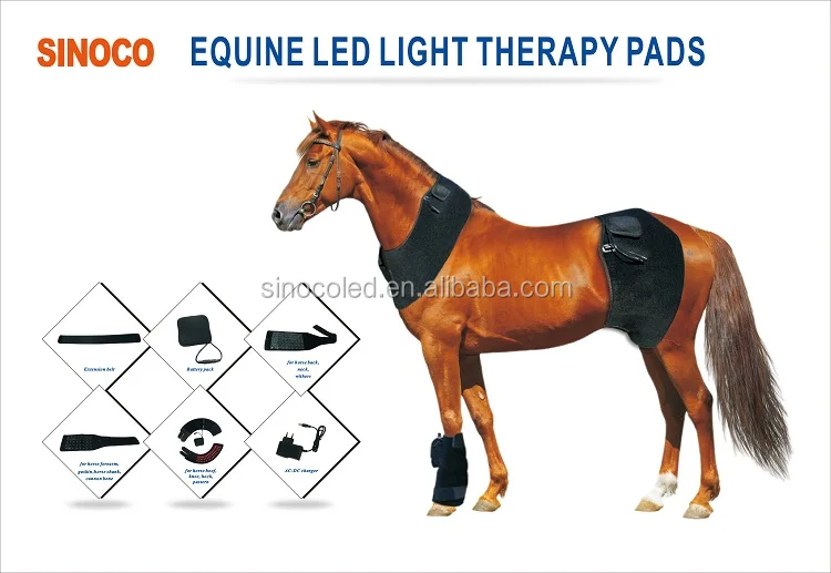 led red light therapy 360 pad red light therapy pad light for horses