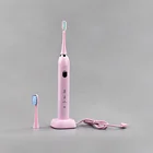 Wholesale Travel Electric Toothbrush Battery Powered with Charger