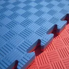 40mm mma tapis muay thai puzzle taekwondo mats/ budo dojo floor mat tatami eva foam karate interlocking tile