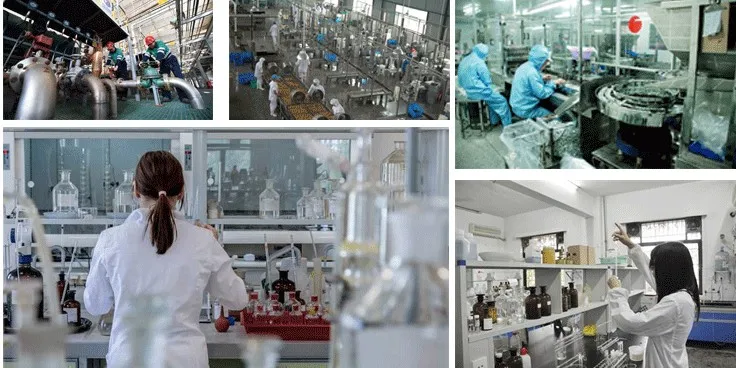 rotameter, rotometer, variable area flow meter water rotameter/water meter flow meters/liquid flow meter - ANKUX.COM