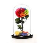 Factory Wholesale Customized Preservation of Colored Roses Christmas Gift Set Eternal Roses in Glass Dome