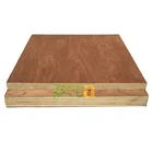 Okume Plywood Doors Interior Design